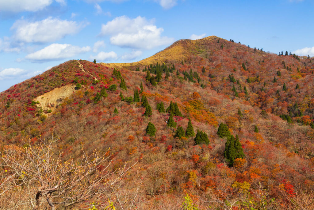 紅葉の武奈ヶ岳 御殿山からの眺め