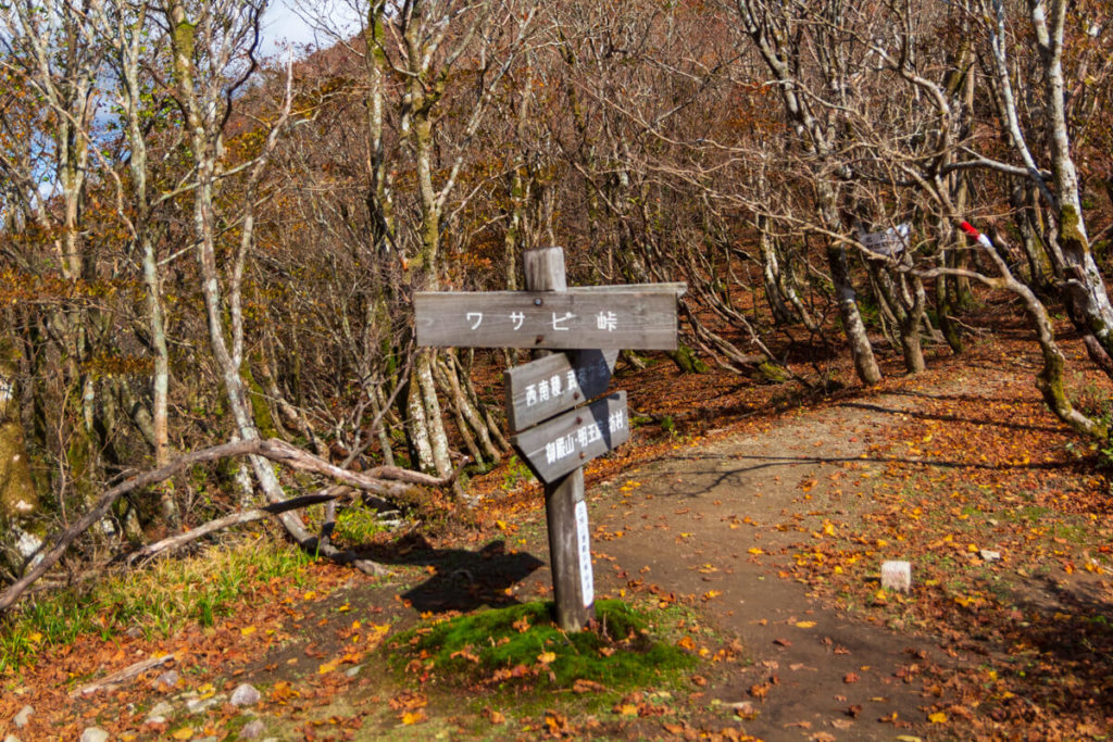 秋の武奈ヶ岳登山 ワサビ峠の道標