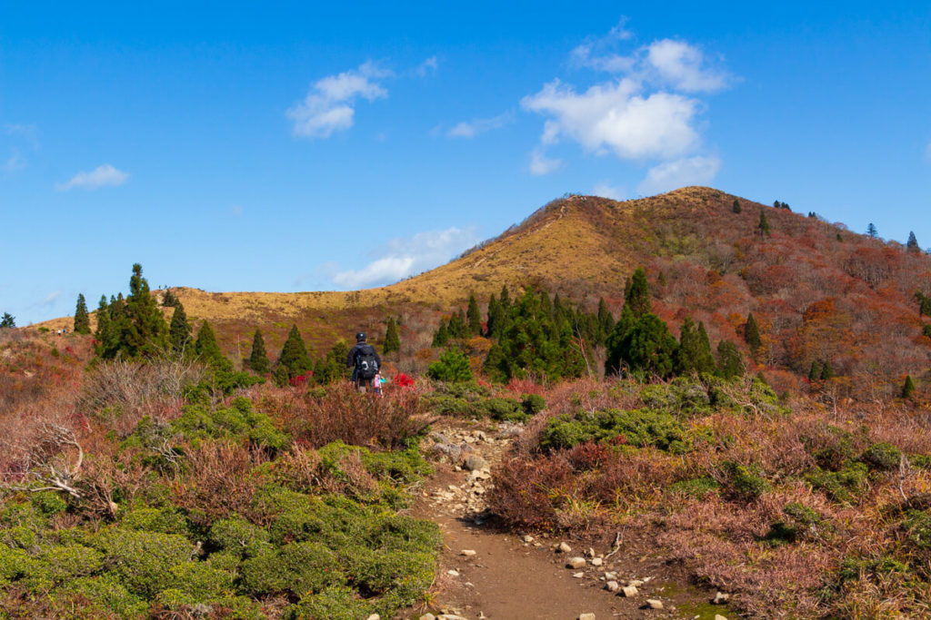 紅葉の武奈ヶ岳 登山風景