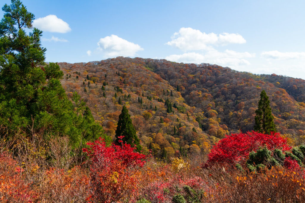 紅葉の武奈ヶ岳登山 登山道の風景