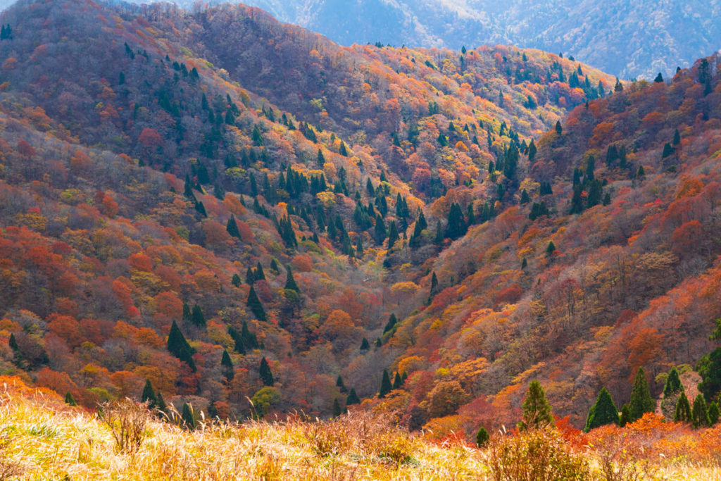 紅葉の武奈ヶ岳