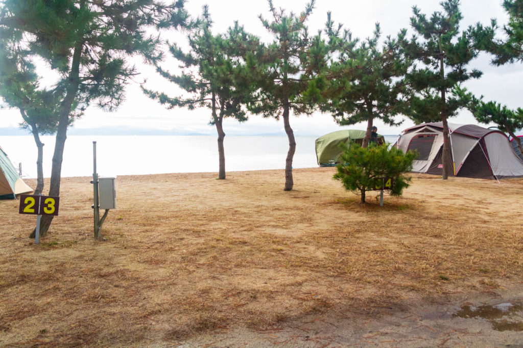 マキノサニービーチ高木浜オートキャンプ場　琵琶湖ファミリーサイト　サイト風景