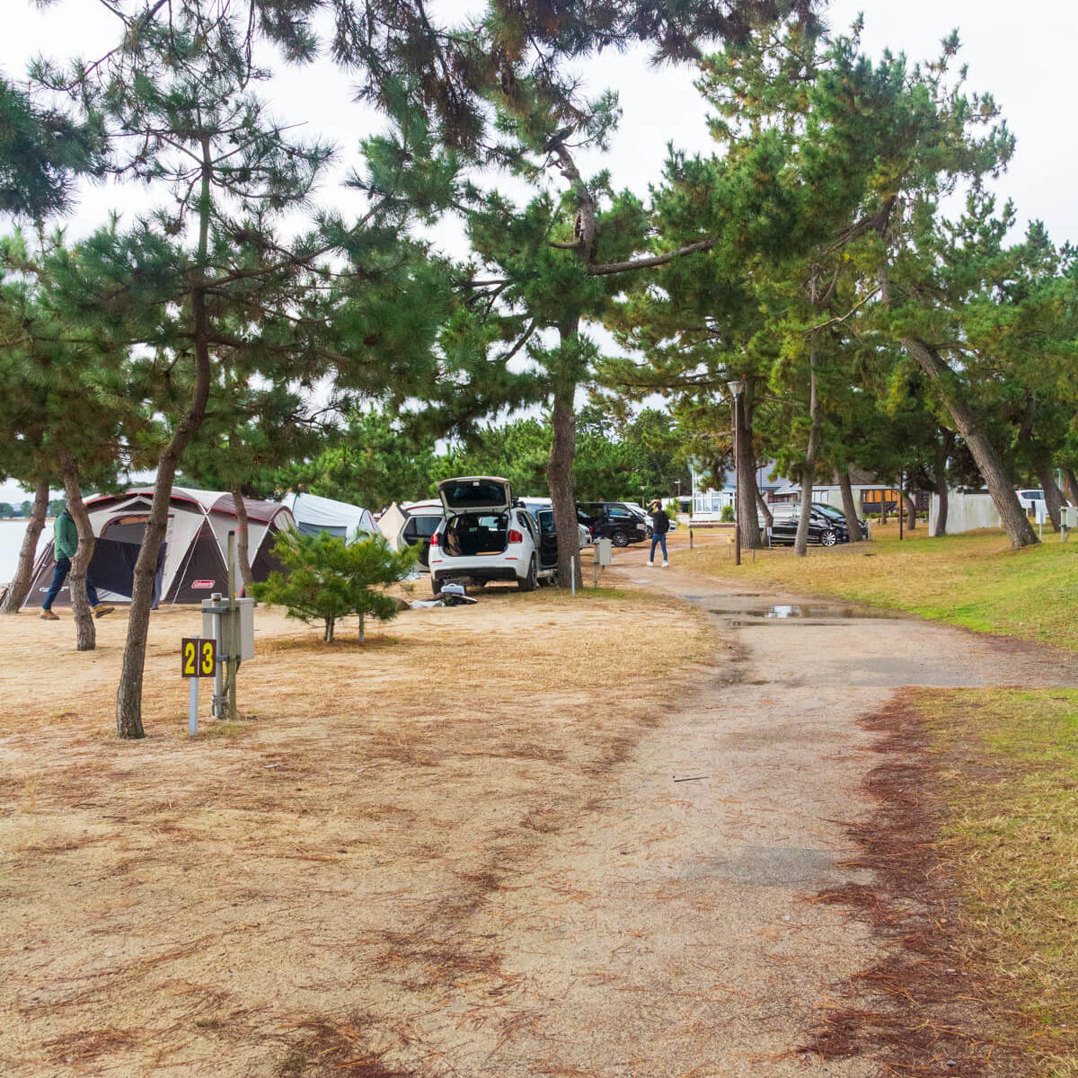 マキノサニービーチ高木浜オートキャンプ場　琵琶湖ファミリーサイト 風景