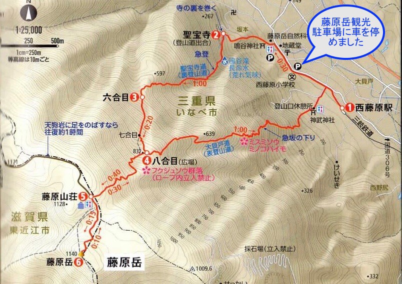 藤原岳 花の百名山で泥まみれ 裏登山道 表登山道ルート紹介 三重 やまたびチップス