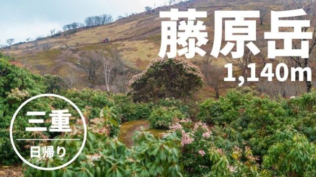 藤原岳 花の百名山で泥まみれ 裏登山道 表登山道ルート紹介 三重 やまたびチップス