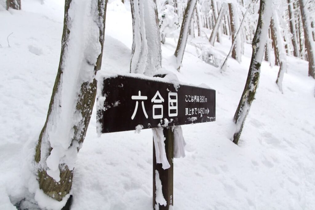 綿向山(冬)表参道コース登山道