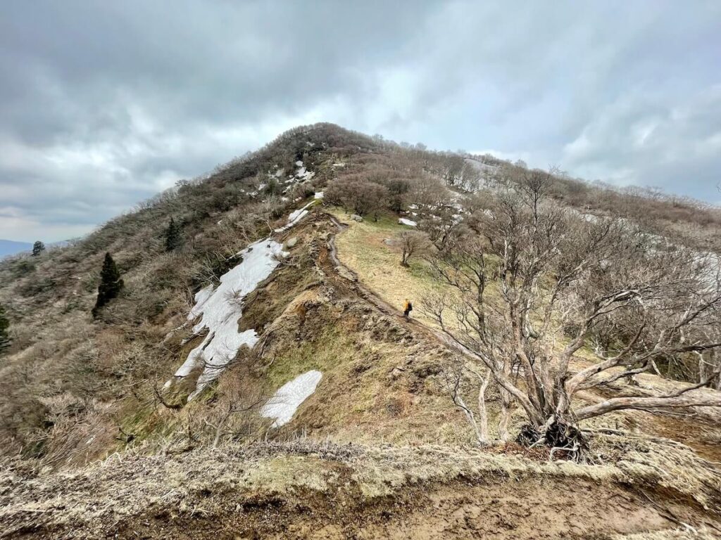 釈迦ヶ岳の登山道(山頂から猫岳への道)