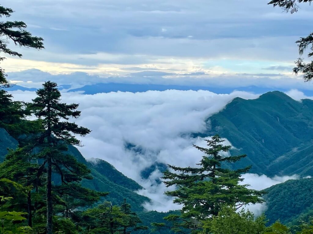 燕岳登山道から見た雲海