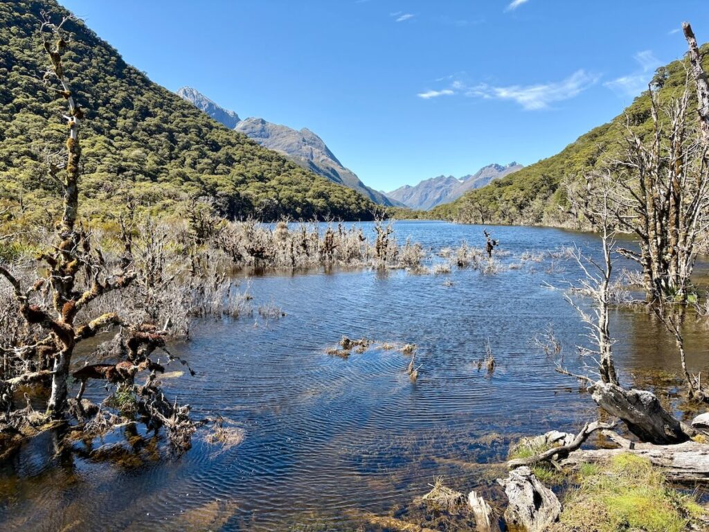 Routeburn Track_登山道10_レイクハウデン