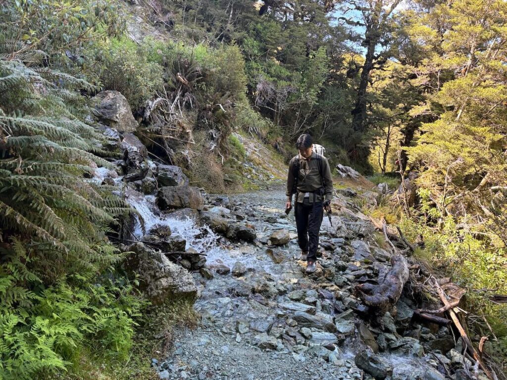 Routeburn Track_登山道12