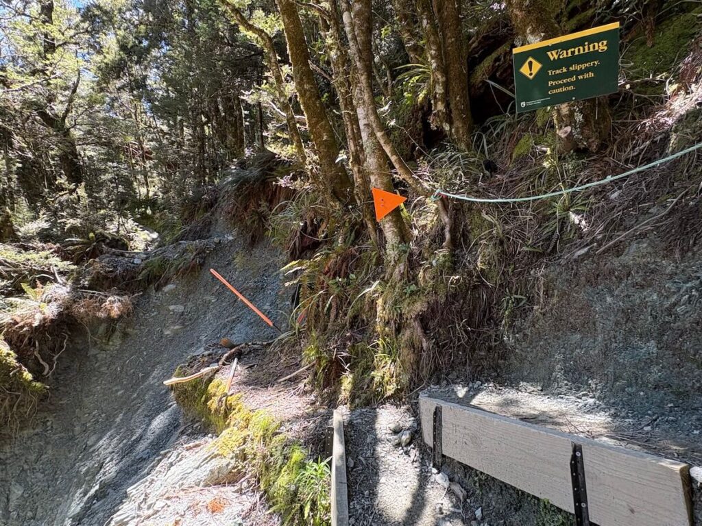 Routeburn Track_登山道13