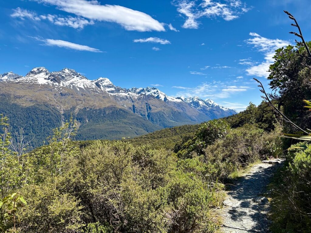 Routeburn Track_登山道15