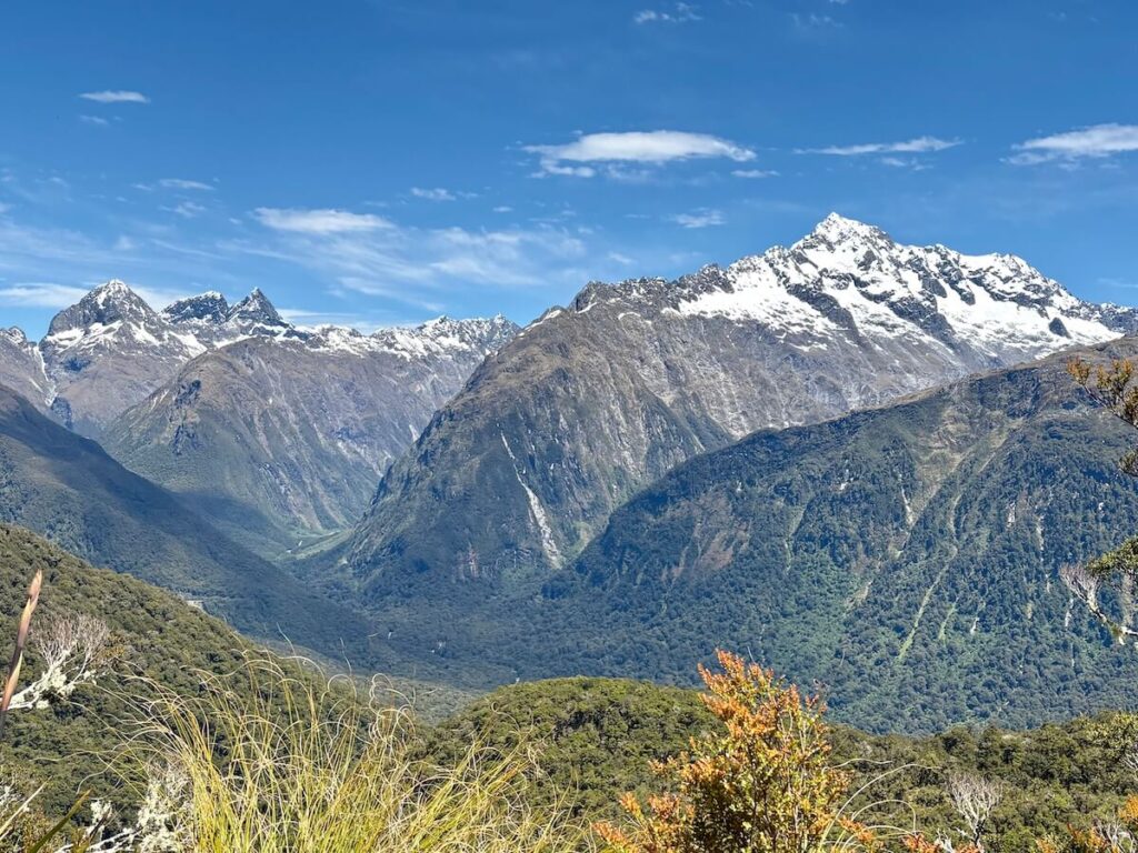 Routeburn Track_登山道17