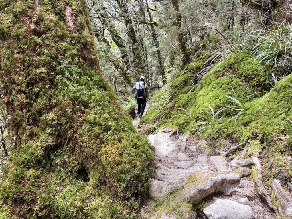 Routeburn Track_登山道18