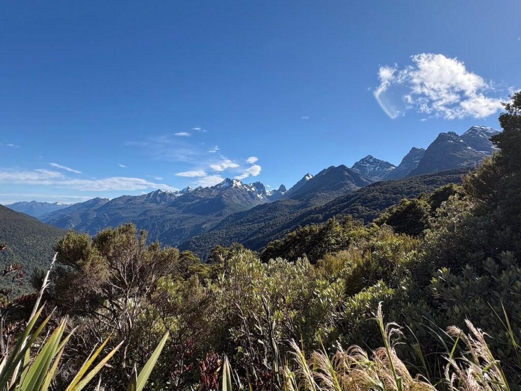 Routeburn Track_登山道2
