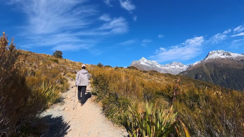 Routeburn Track_登山道22