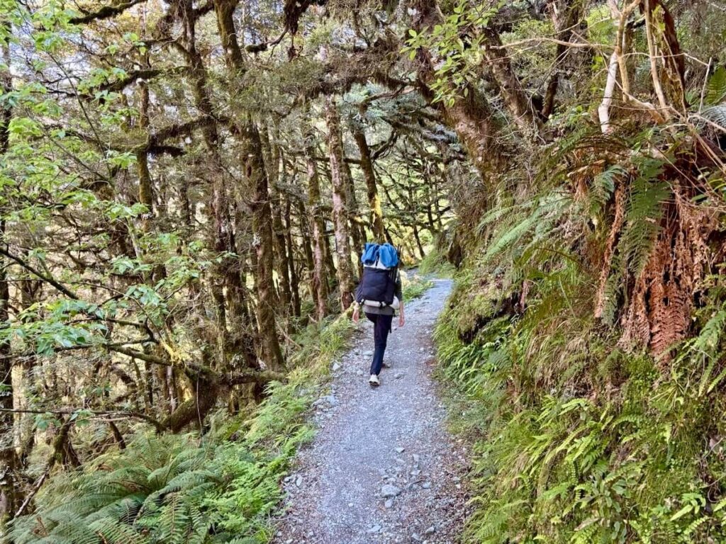 Routeburn Track_登山道23