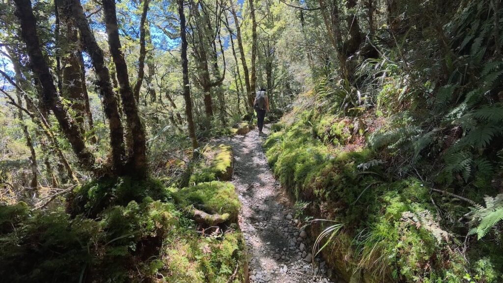Routeburn Track_登山道26