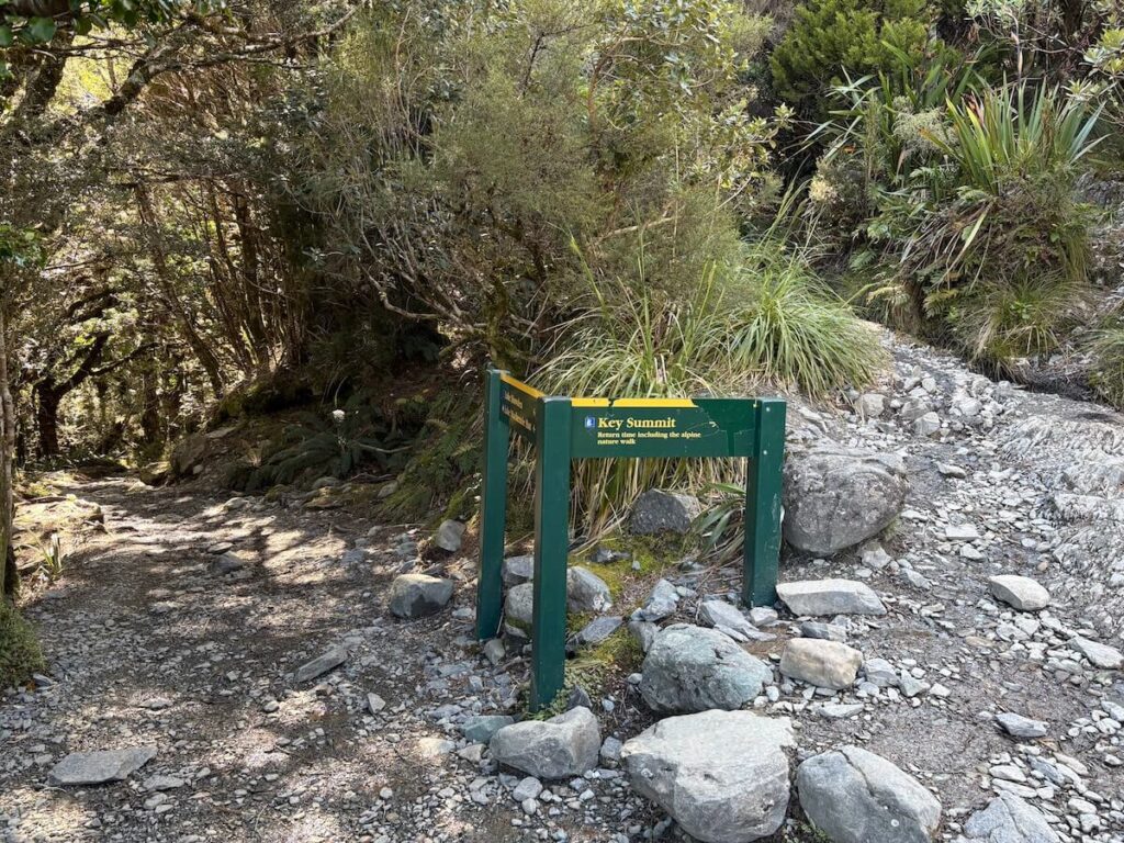 Routeburn Track_登山道3_キーサミット分岐