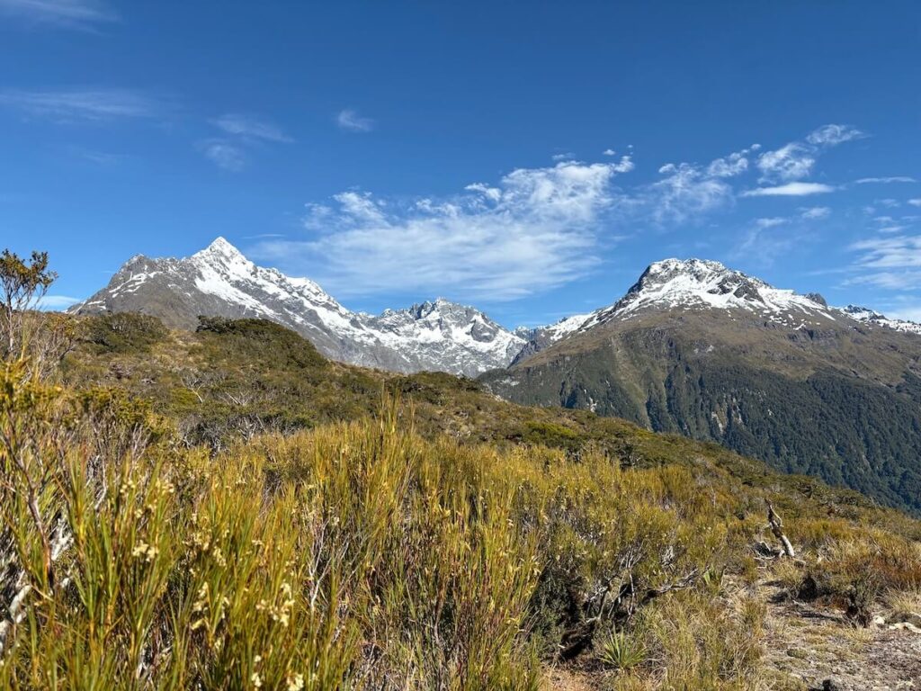 Routeburn Track_登山道5