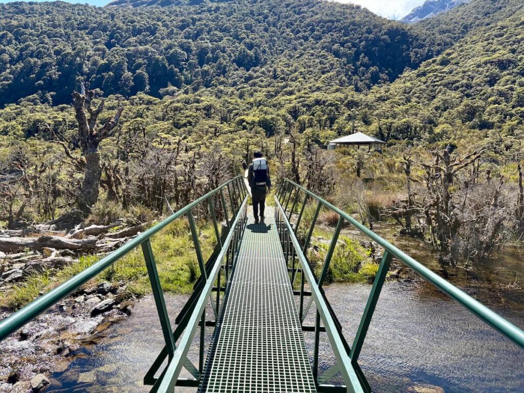 Routeburn Track_登山道9