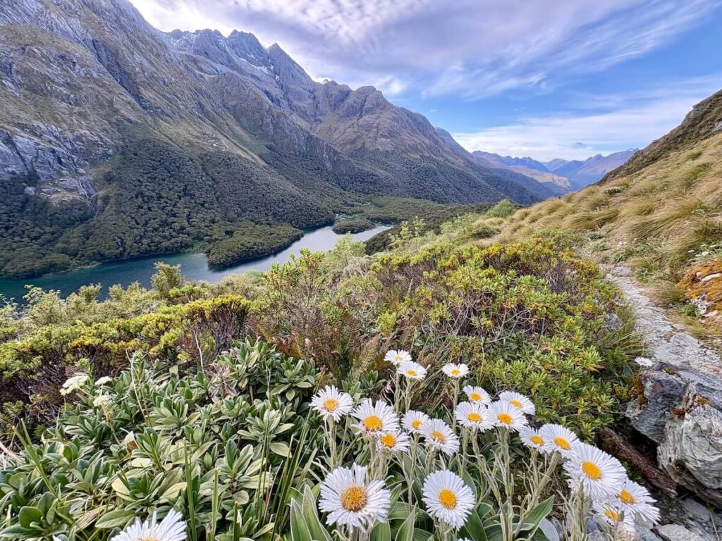 Routeburn Track_登山道