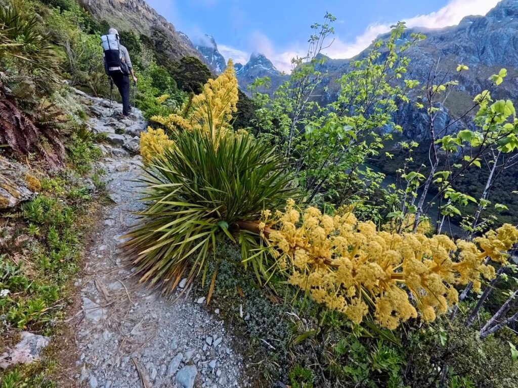 Routeburn Track_登山道