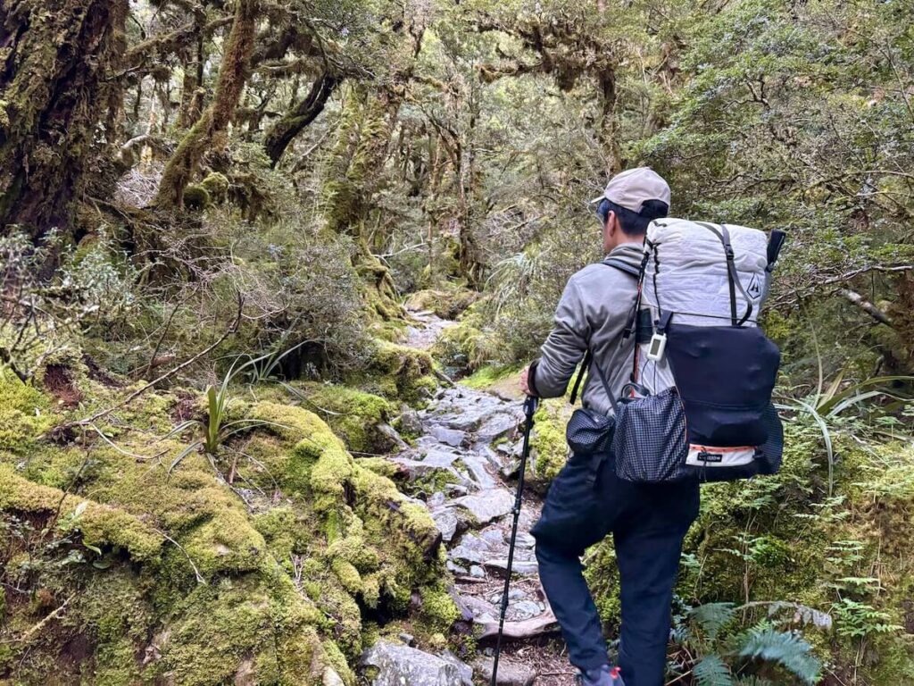 Routeburn Track_登山道