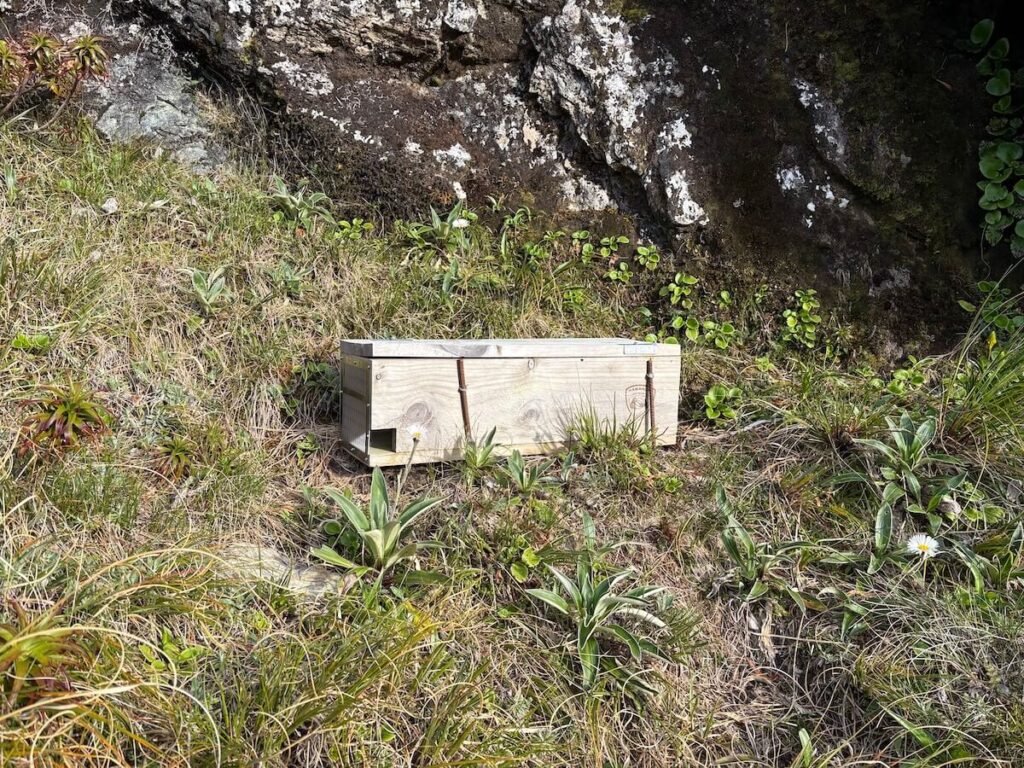 Routeburn Track_トラップボックス