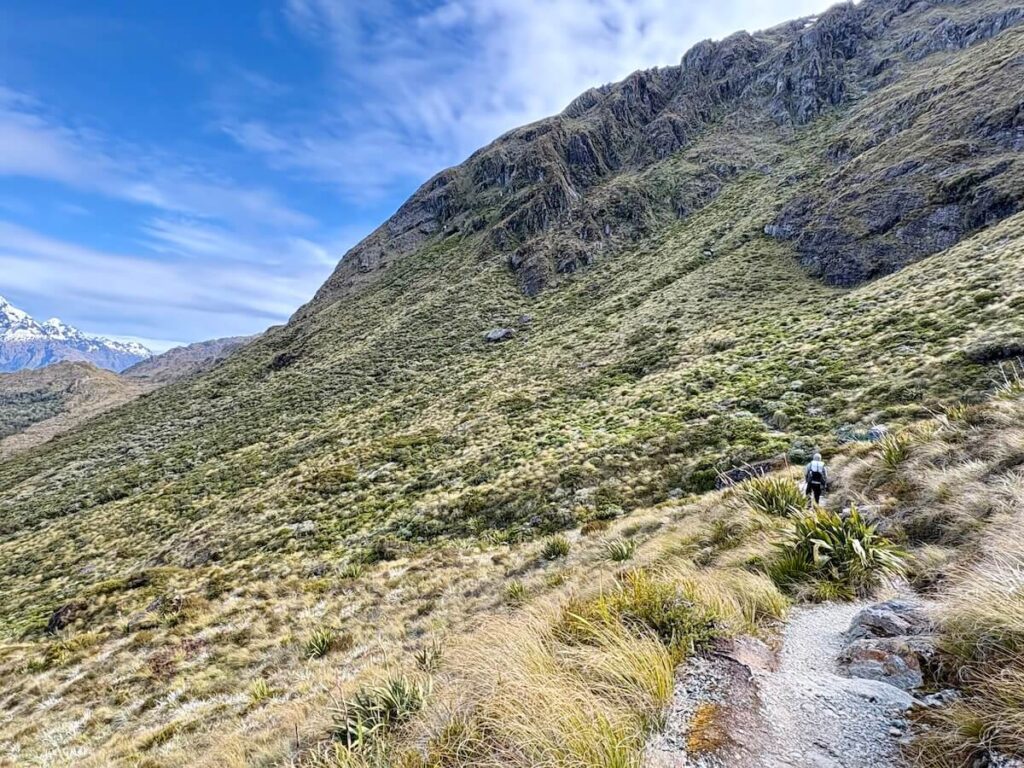 Routeburn Track_登山道