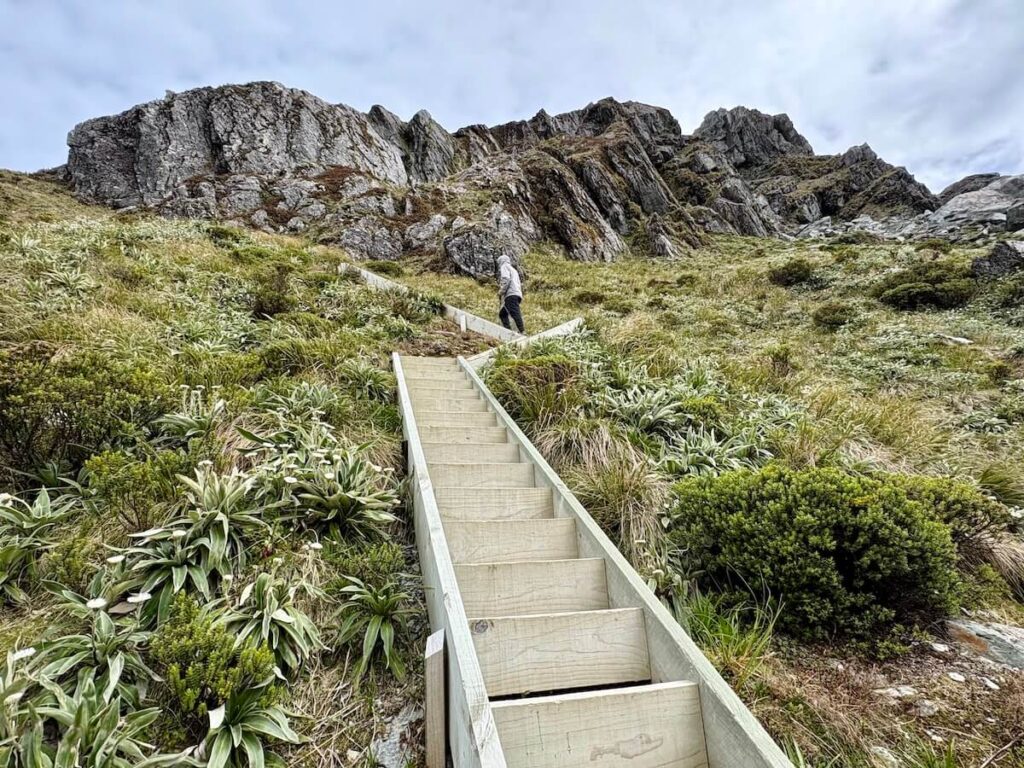 Routeburn Track_コニカルヒル登山道