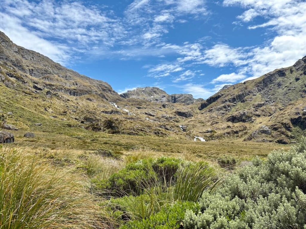 Routeburn Track_登山道