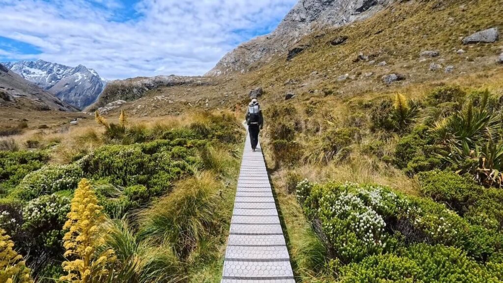 Routeburn Track_登山道