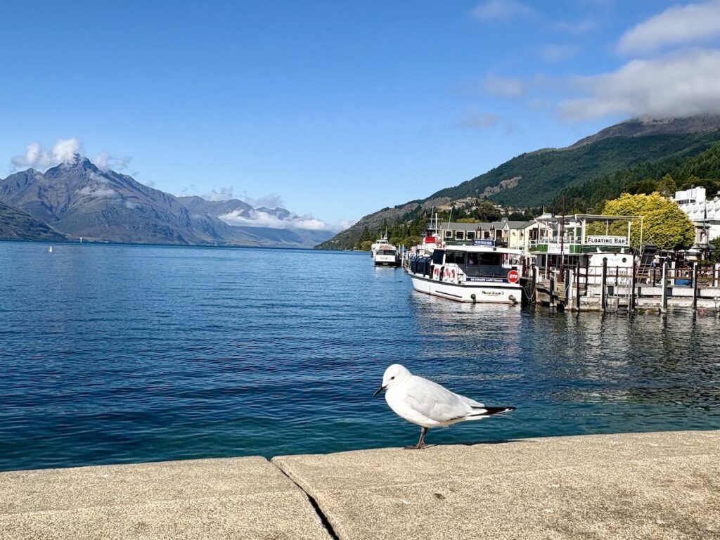 ニュージーランド風景　クイーンズタウン　鳥