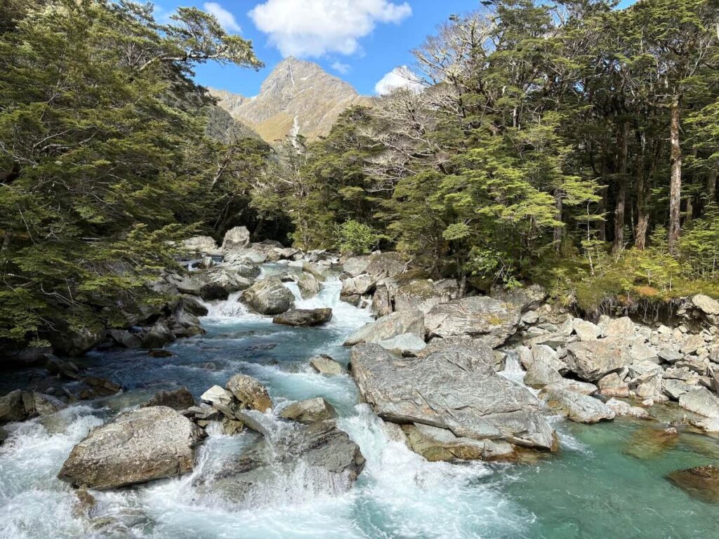 Routeburn Track_登山道