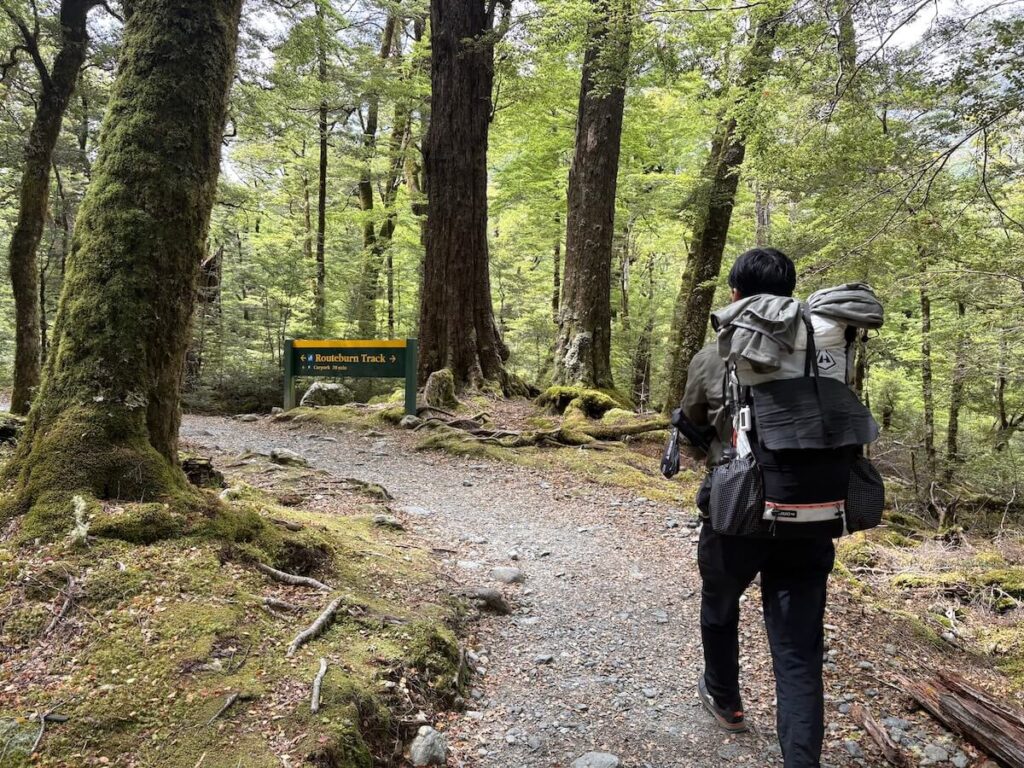 Routeburn Track_登山道